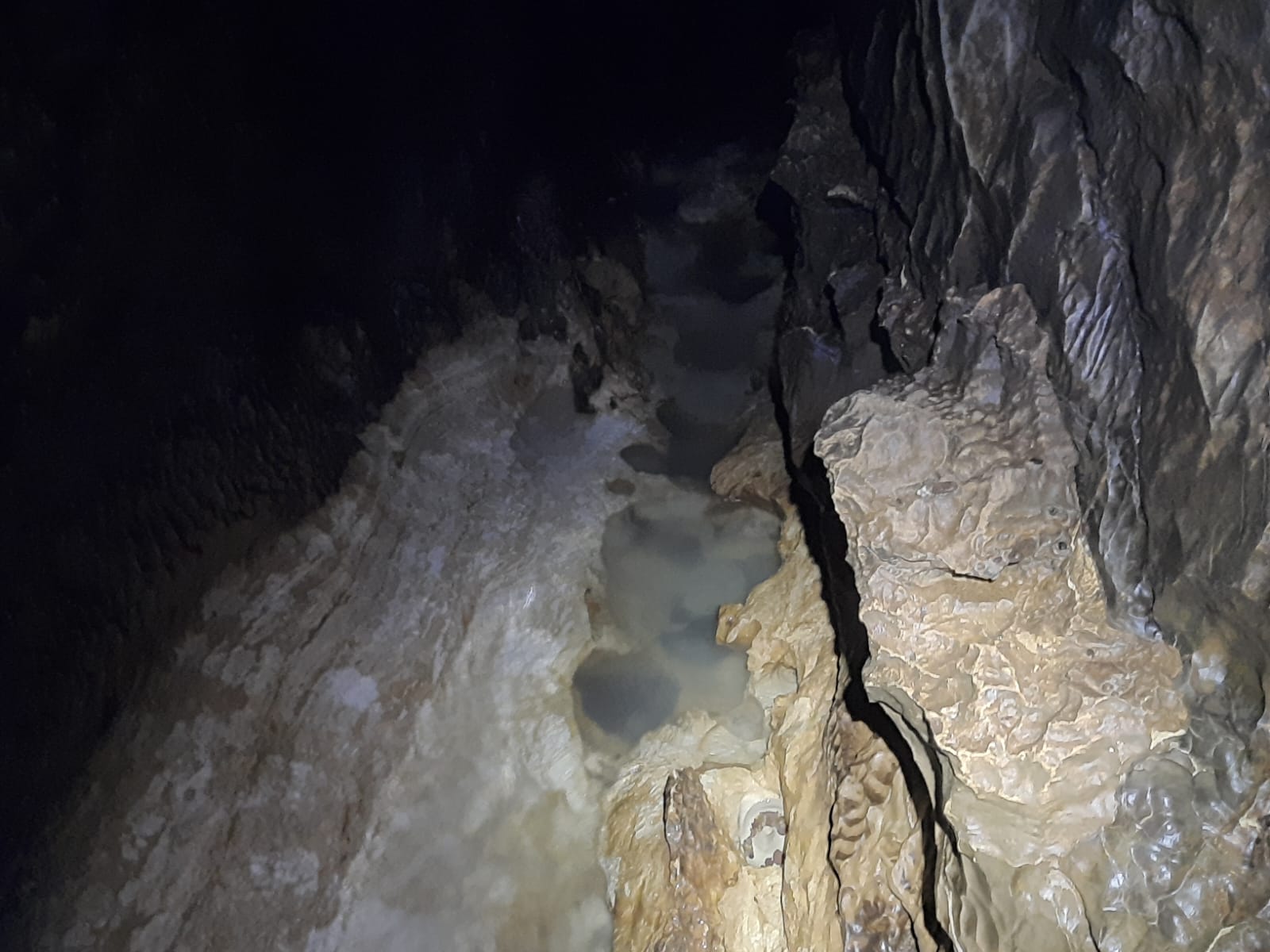 Peștera Pepii - Image 3